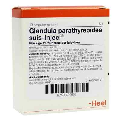 Glandula Parathyreoidea suis Injeel Ampullen bei apo-discounter.de bestellen