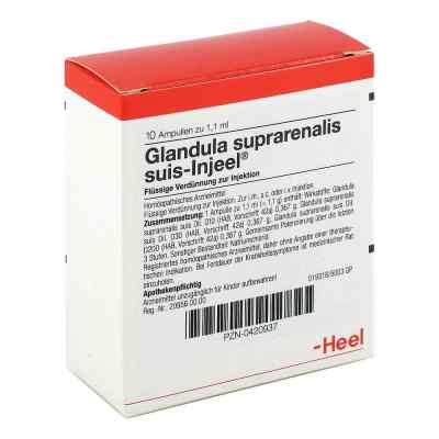 Glandula Suprarenalis suis Injeel Ampullen bei apo-discounter.de bestellen