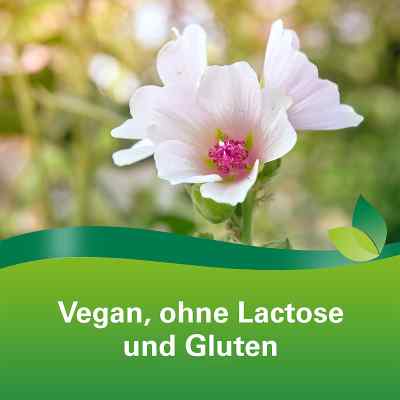 Phytohustil Hustenreizstiller Sirup bei Reizhusten bei apo-discounter.de bestellen
