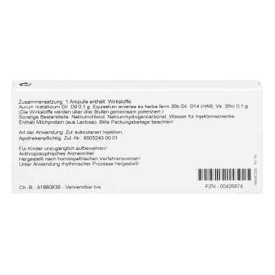 Aurum/equisetum I Ampullen bei apo-discounter.de bestellen
