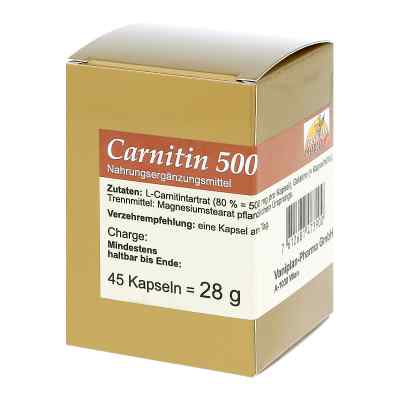 Carnitin 500 Kapseln bei apo-discounter.de bestellen