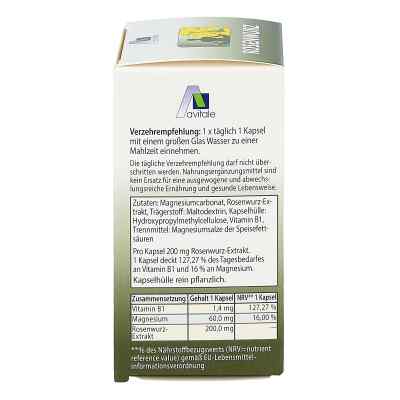 Rosenwurz Kapseln 200 mg bei apo-discounter.de bestellen
