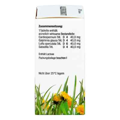 Allergokatt Tabletten bei apo-discounter.de bestellen
