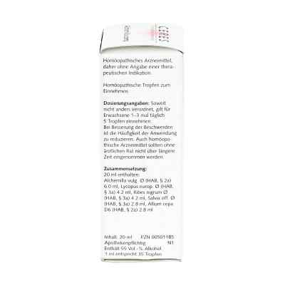 Ceres Alchemilla compositus Tropfen bei apo-discounter.de bestellen