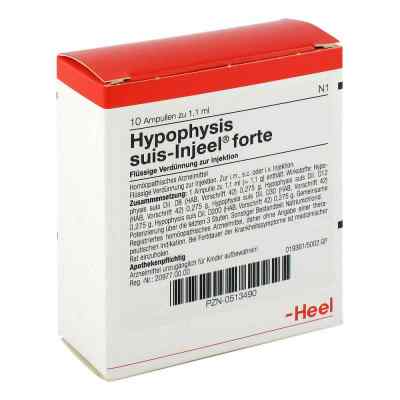 Hypophysis Suis Injeel forte Ampullen bei apo-discounter.de bestellen