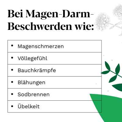 Iberogast bei funktionellen Magen-Darm-Beschwerden bei apo-discounter.de bestellen