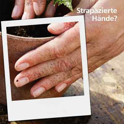 Excipial Protect Creme bei apo-discounter.de bestellen
