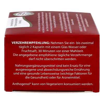 Opc Original Masqueliers Anthogenol Kapseln bei apo-discounter.de bestellen