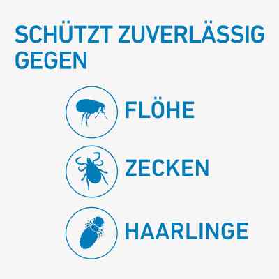 Frontline Spot on Hund 10 veterinär Lösung gegen Floh und Zecke bei apo-discounter.de bestellen