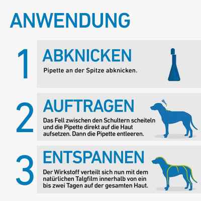 Frontline Spot on Hund 10 veterinär Lösung gegen Floh und Zecke bei apo-discounter.de bestellen