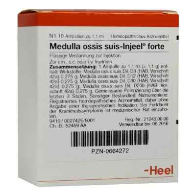 Medulla Ossis suis Injeel forte Ampullen bei apo-discounter.de bestellen