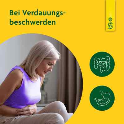 Artischockensaft Schoenenberger bei apo-discounter.de bestellen