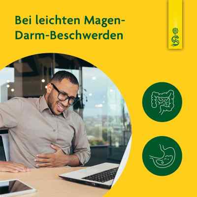 Löwenzahn Saft Schoenenberger bei apo-discounter.de bestellen