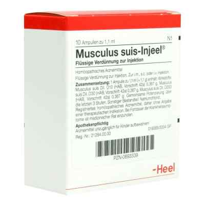 Musculus suis Injeel Ampullen bei apo-discounter.de bestellen