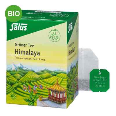 Grüner Tee Himalaya Bio Salus Filterbeutel