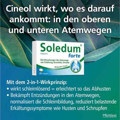 Soledum Kapseln forte 200mg bei apo-discounter.de bestellen