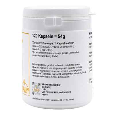 Folsäure Plus Kapseln bei apo-discounter.de bestellen