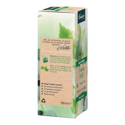 Kneipp Sauna Aufguss Eukalyptus Birke bei apo-discounter.de bestellen