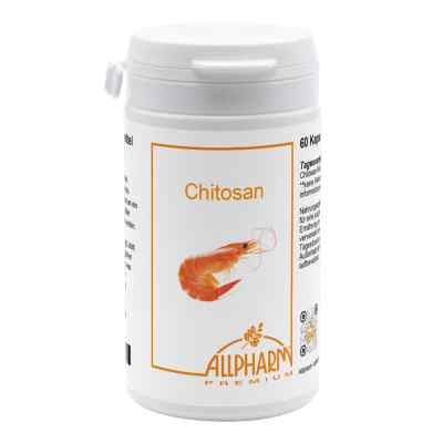 Chitosan 500 mg Kapseln bei apo-discounter.de bestellen