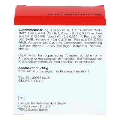 Ren suis Injeel forte Ampullen bei apo-discounter.de bestellen