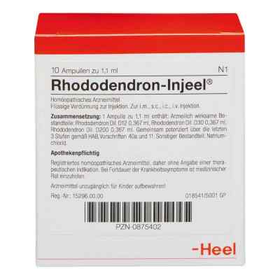 Rhododendron Injeel Ampullen bei apo-discounter.de bestellen