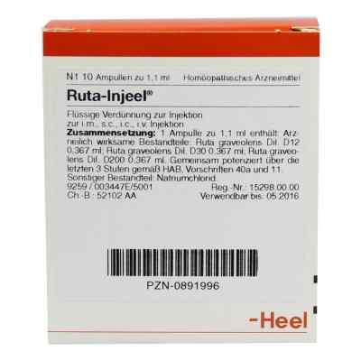 Ruta Injeel Ampullen bei apo-discounter.de bestellen