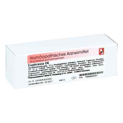 Euphrasia D 6 Globuli bei apo-discounter.de bestellen