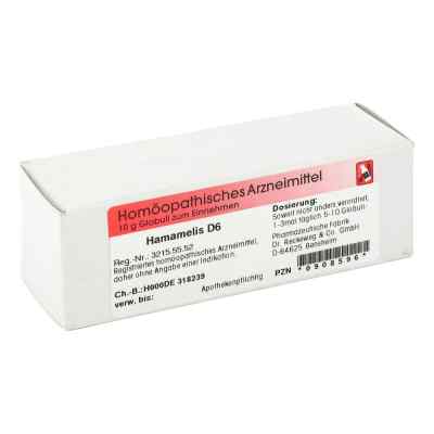 Hamamelis D 6 Globuli bei apo-discounter.de bestellen
