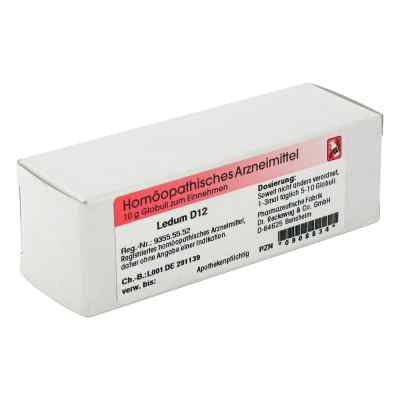 Ledum D12 Globuli bei apo-discounter.de bestellen