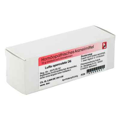 Luffa Operculata D 6 Globuli bei apo-discounter.de bestellen