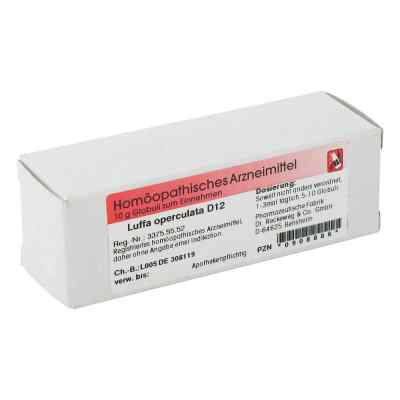 Luffa Operculata D12 Globuli bei apo-discounter.de bestellen