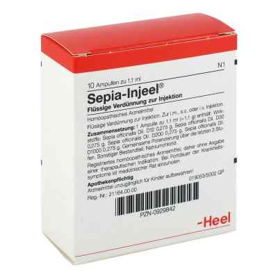 Sepia Injeel Ampullen bei apo-discounter.de bestellen