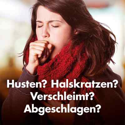 Umckaloabo bei apo-discounter.de bestellen