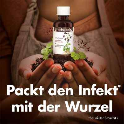 Umckaloabo bei apo-discounter.de bestellen