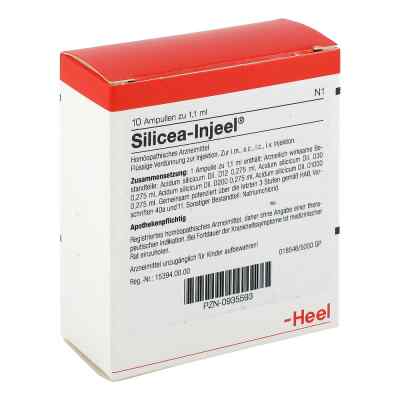 Silicea Injeel Ampullen bei apo-discounter.de bestellen
