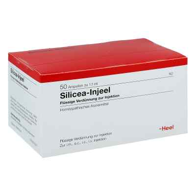 Silicea Injeel Ampullen bei apo-discounter.de bestellen