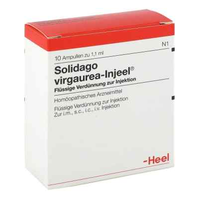 Solidago Virgaurea Injeel Ampullen bei apo-discounter.de bestellen