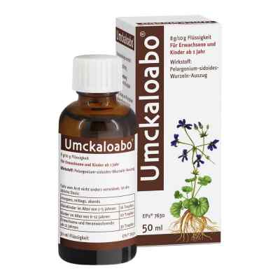 Umckaloabo bei apo-discounter.de bestellen