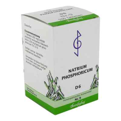 Biochemie 9 Natrium phosphoricum D6 Tabletten bei apo-discounter.de bestellen