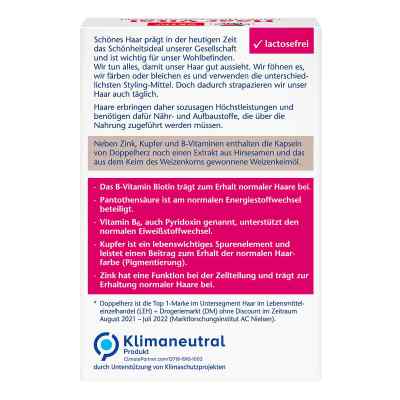 Doppelherz Haar Vital+zink+hirseextrakt Kapseln bei apo-discounter.de bestellen