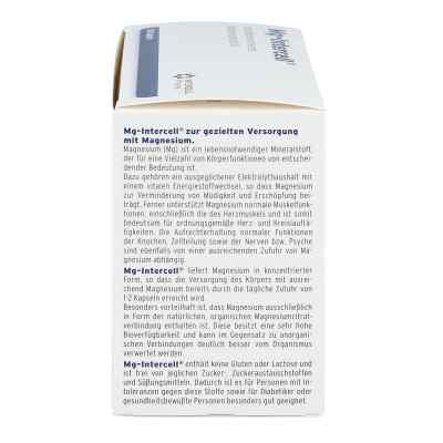 Mg Intercell Kapseln bei apo-discounter.de bestellen
