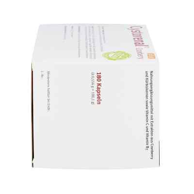 Cystorenal Cranberry plus Kapseln bei apo-discounter.de bestellen