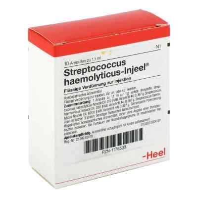 Streptococcus Haemolyticus Injeel Ampullen bei apo-discounter.de bestellen