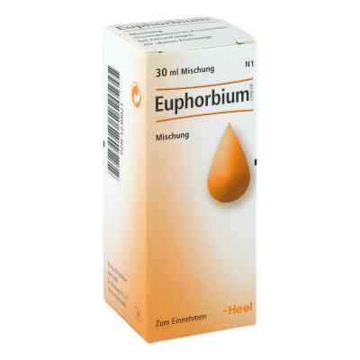 Euphorbium Compositum Sn Tropfen bei apo-discounter.de bestellen