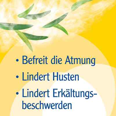 Pinimenthol Erkältungsbad für Kinder ab 2 Jahren Eucalyptus bei apo-discounter.de bestellen