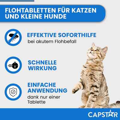 Capstar 11,4 mg für Katzen und kleine Hunde Tabletten bei apo-discounter.de bestellen