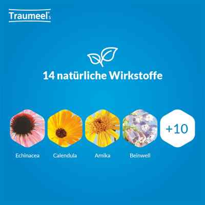 Traumeel S Creme bei apo-discounter.de bestellen