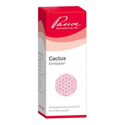 Cactus Similiaplex bei apo-discounter.de bestellen