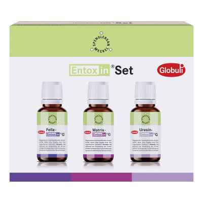 Entoxin Set G Globuli bei apo-discounter.de bestellen