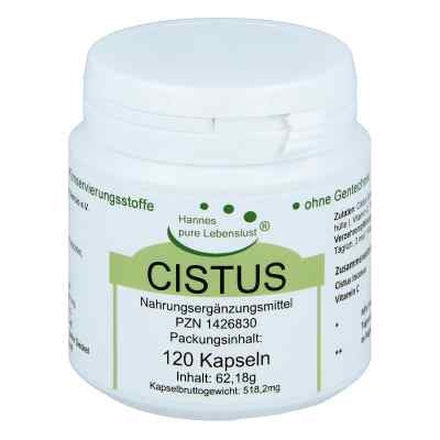 Cistus Incanus Vegi Kapseln bei apo-discounter.de bestellen